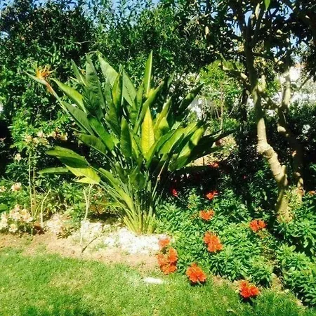 Fuer 4 Personen In Algoz, Algarve Holiday home *